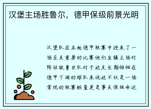 汉堡主场胜鲁尔，德甲保级前景光明
